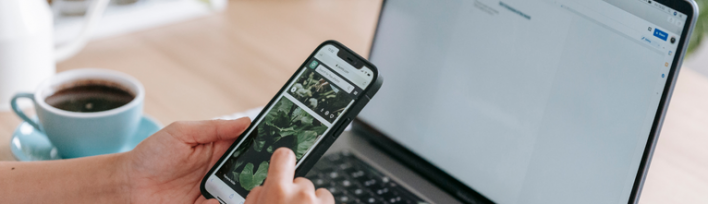Aprende a buscar información con seguridad. Imagen del curso.
